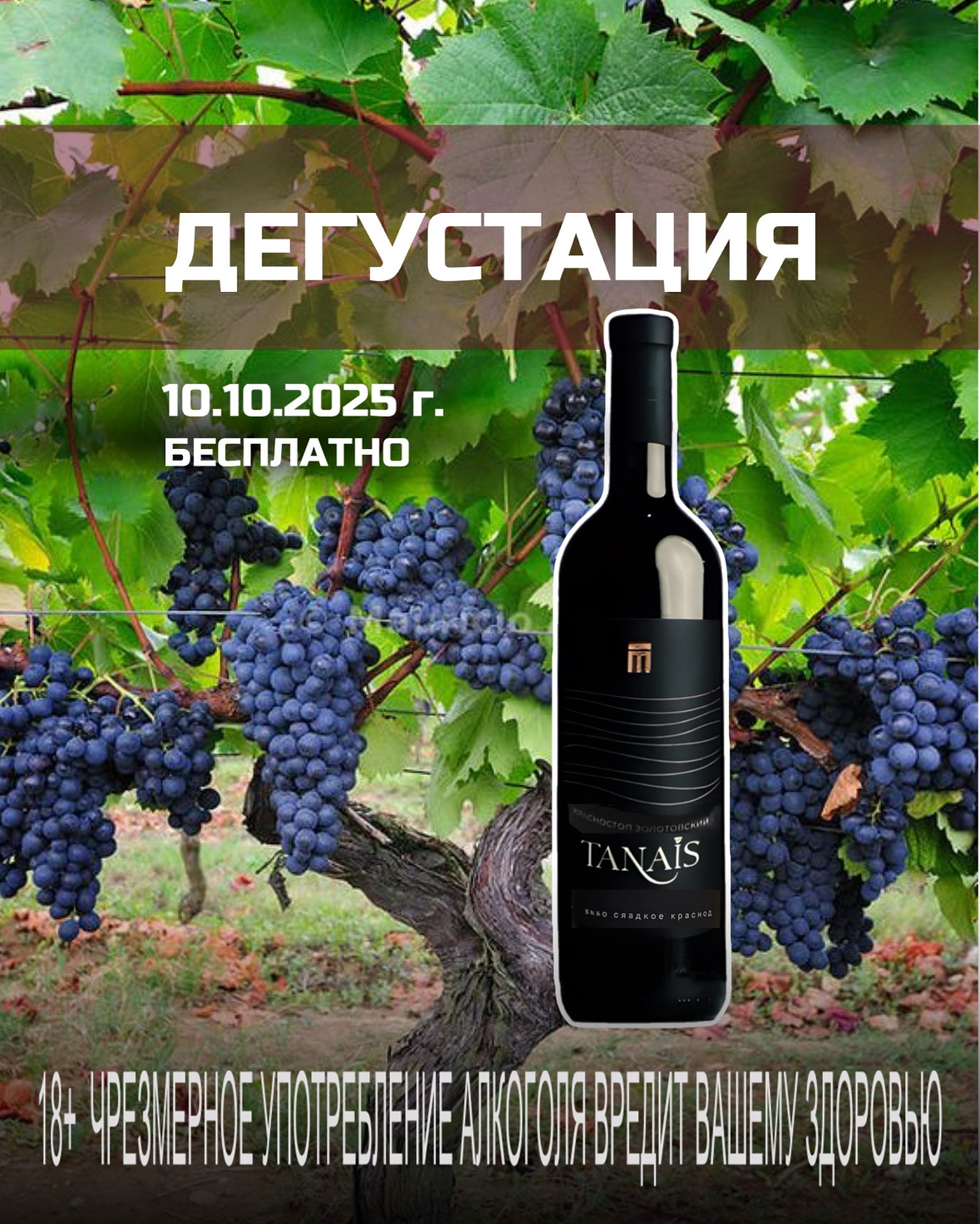 Винная дегустация 